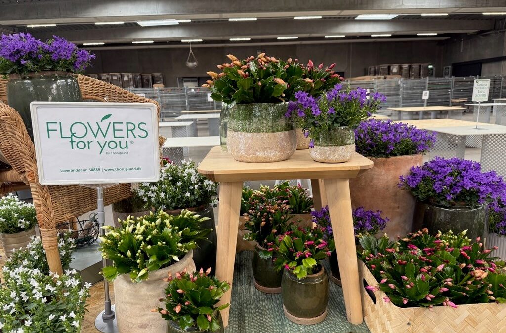 Handelsplatz August 2025