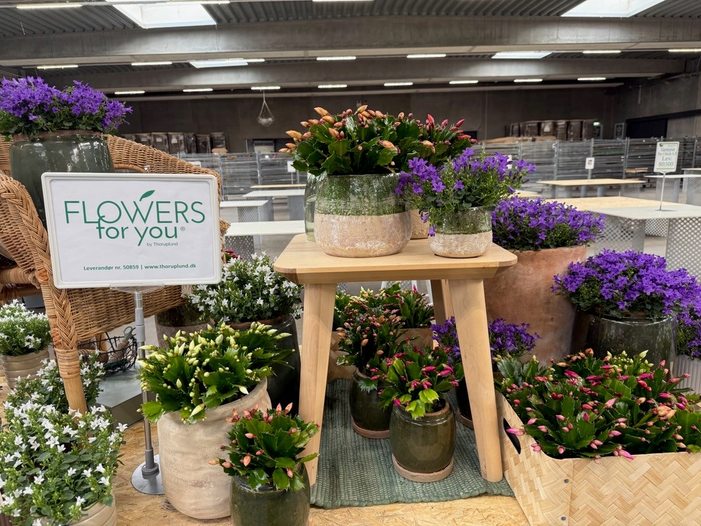 handelspladsen-sug-2025