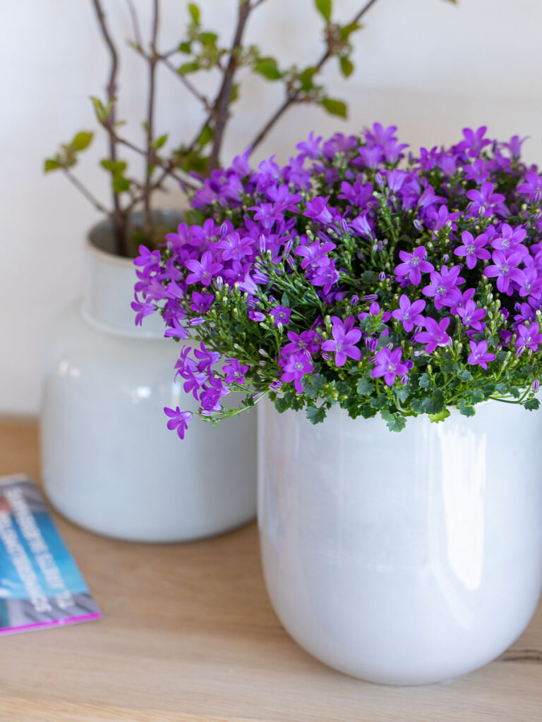 lhb_2020-04-16 12.02.19