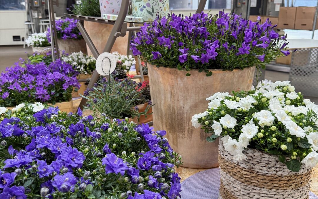 Handelspladsen March 2026